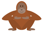 ape-basic-usage.png