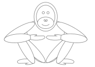 ape-contour-gray.png