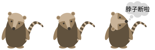 coati-rotatehead-15.png