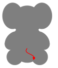 elephant-tail-red.png