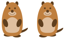 marmot-walking.png