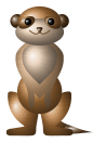 meerkat-3d.png