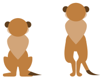 meerkat-back.png