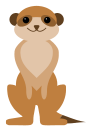 meerkat-basic-usage.png
