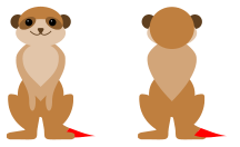 meerkat-tip-red.png