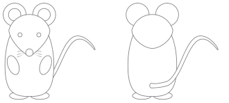mouse-contour-gray.png