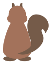squirrel-back.png