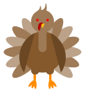 turkey-eyes-red.png